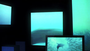 Sony Bravia 3D TV